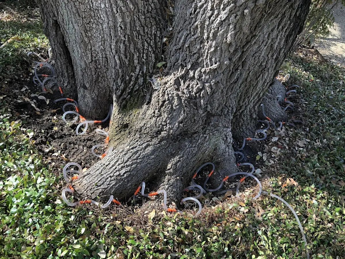 Detailed Shrub and Hedge Trimming job site in Mc Donough